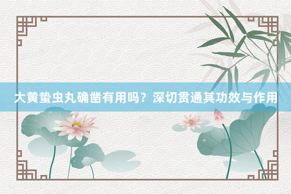 大黄蛰虫丸确凿有用吗？深切贯通其功效与作用